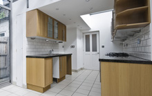 New Malden kitchen extension leads